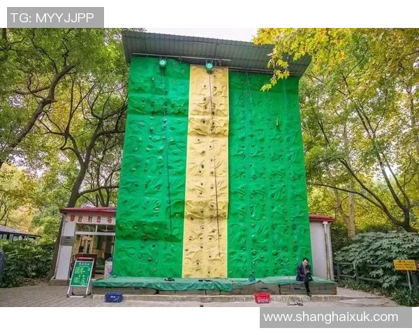 上海攀岩队实力解析：探索他们的训练与成就之路