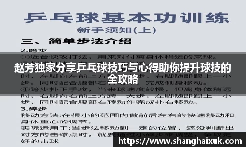 赵芳独家分享乒乓球技巧与心得助你提升球技的全攻略